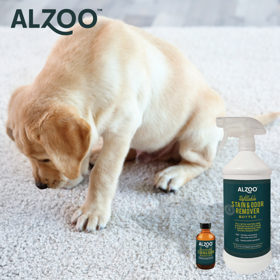 ALZOO Concentrated Enzyme-Based Sustainable Stain & Odor Remover & Refillable Bottle