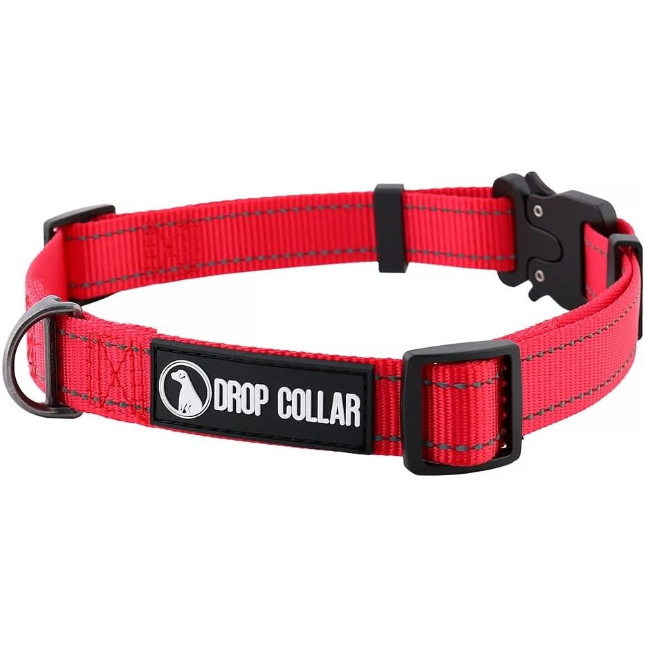 Drop Collar Reflective Nylon Dog Collar with Patent Pending Upright Leash Connection Point