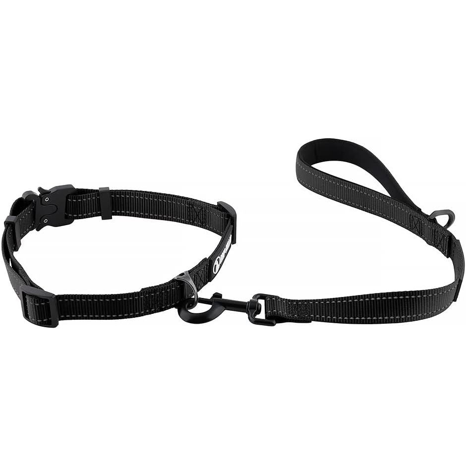 Drop Collar Reflective Nylon Leash with Sleek D-Ring for Accessories & Soft Padded Gel Handle for Comfort (Shorty)