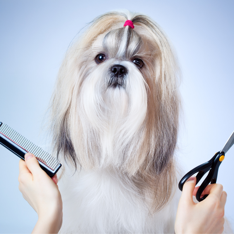Grooming