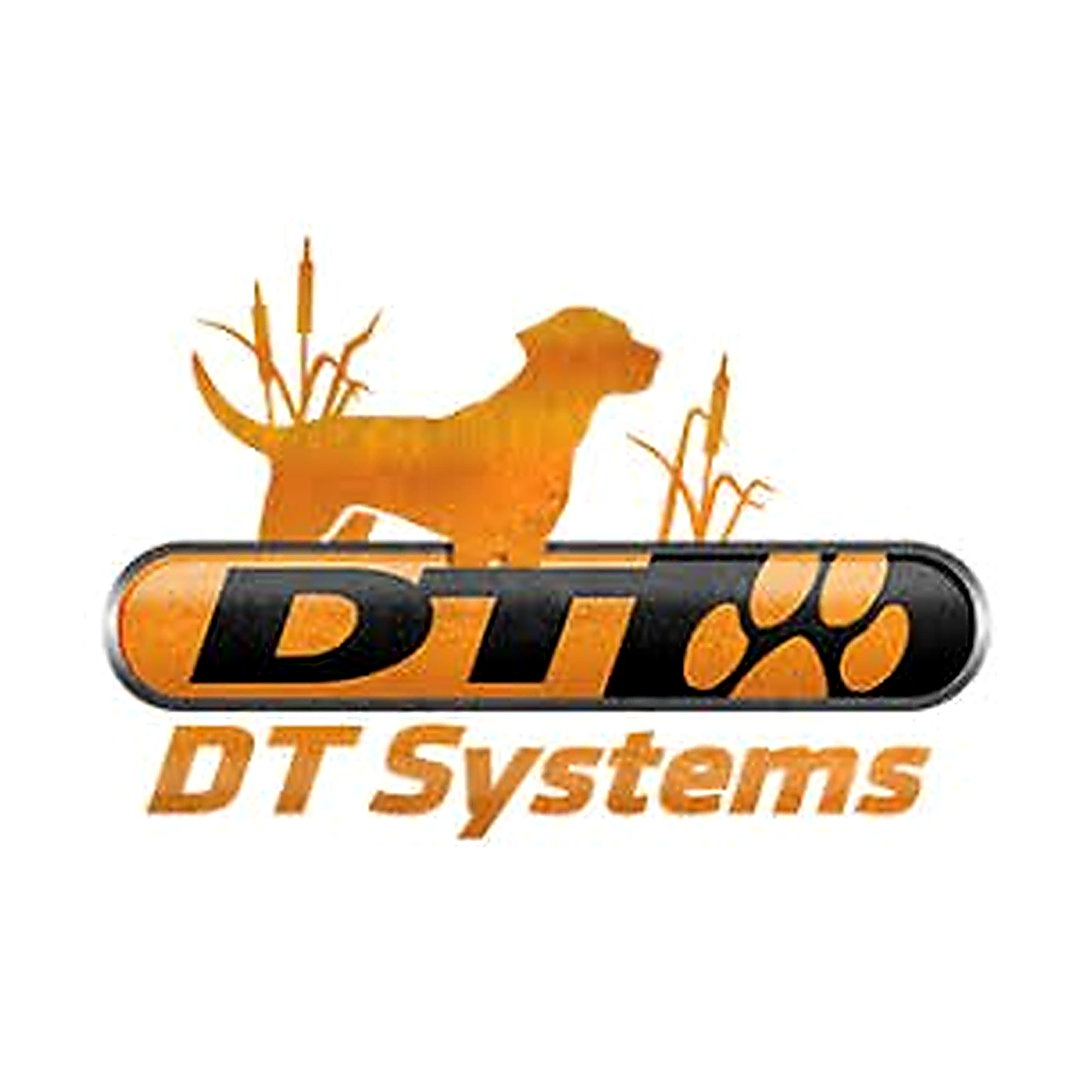 DT Systems