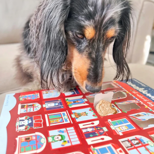 Spunky Pup Advent Calendar dog treat size 2.5 inch - hand baked holiday dog treats no preservatives