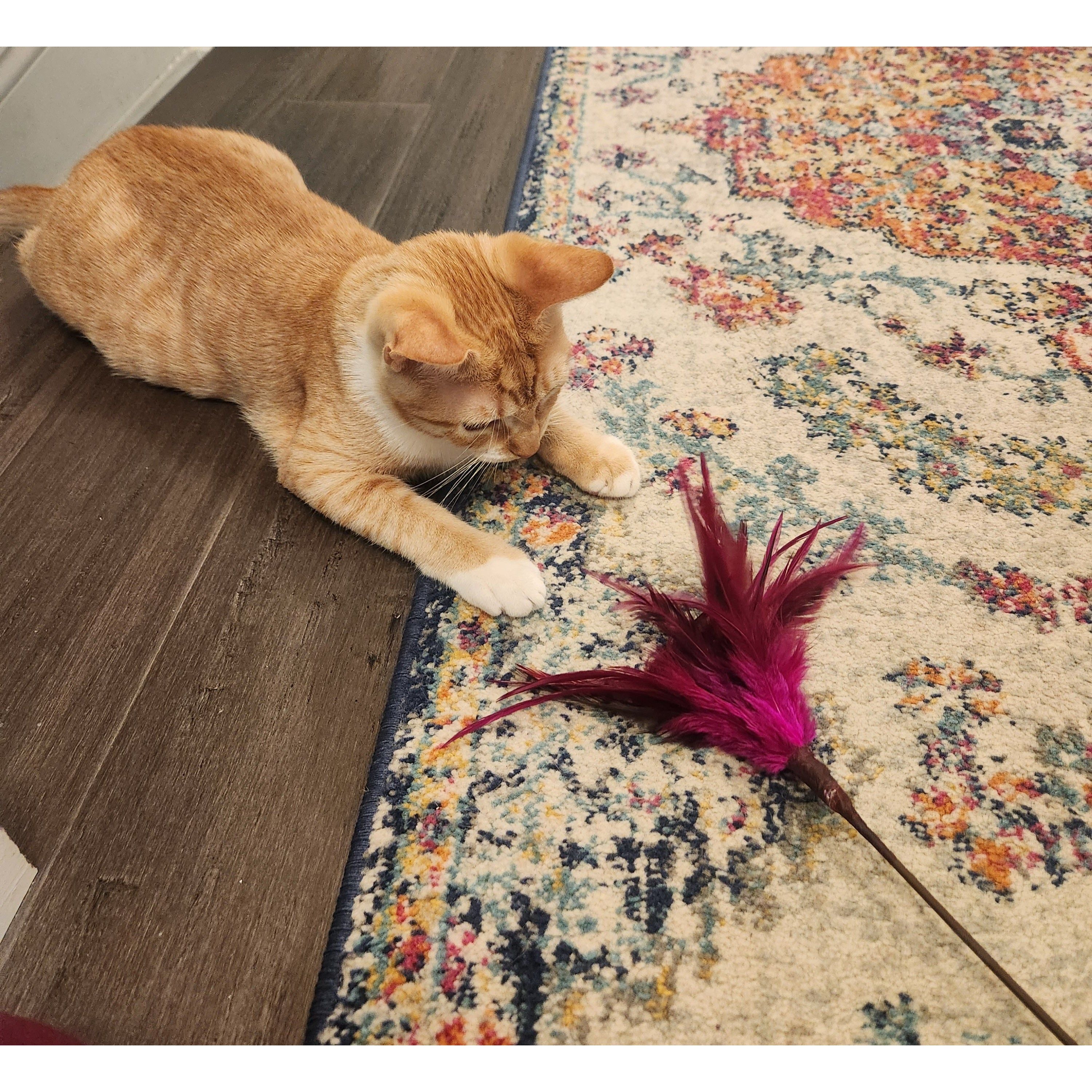 Go Cat Kitty Duster 18" Cat Toy