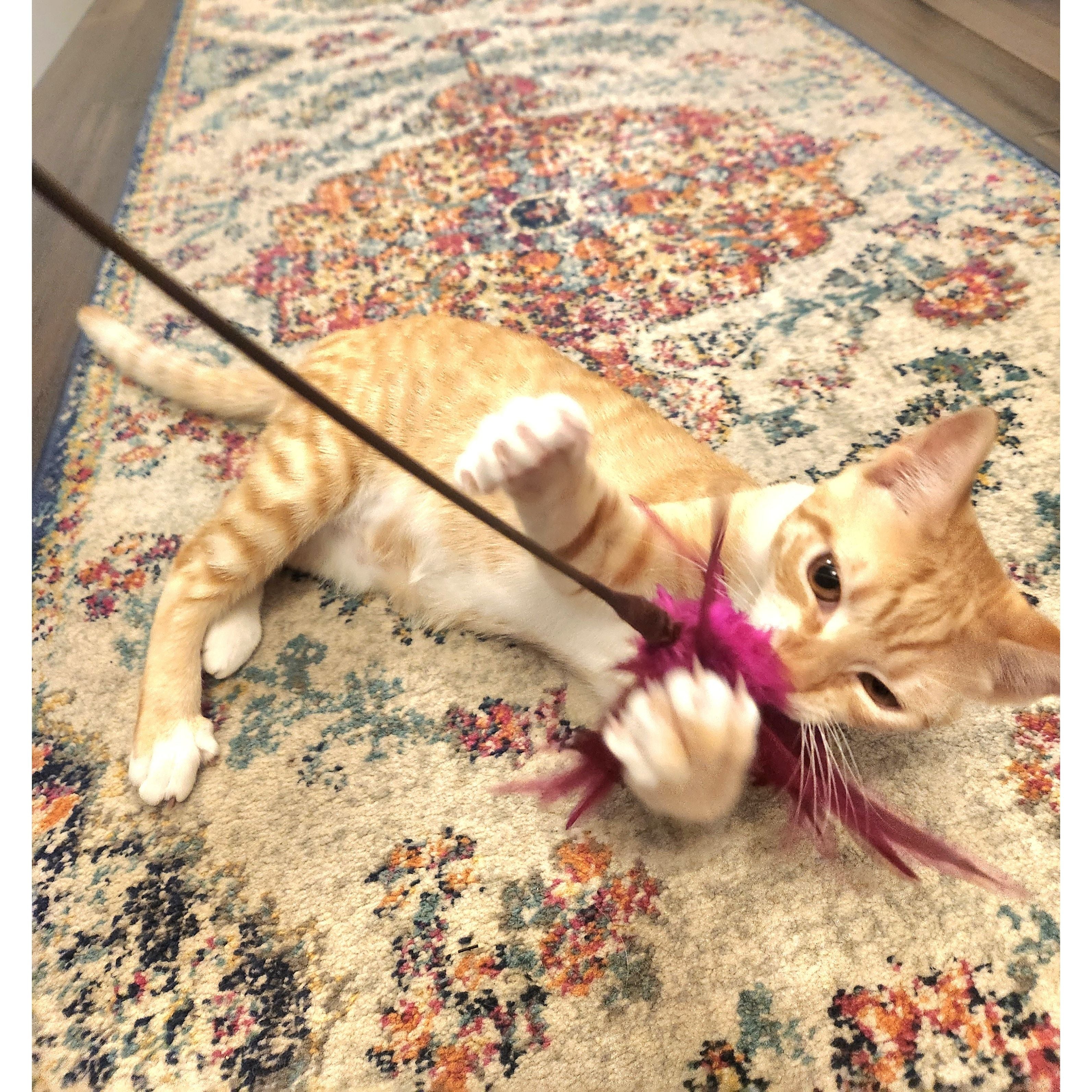 Go Cat Kitty Duster 18" Cat Toy