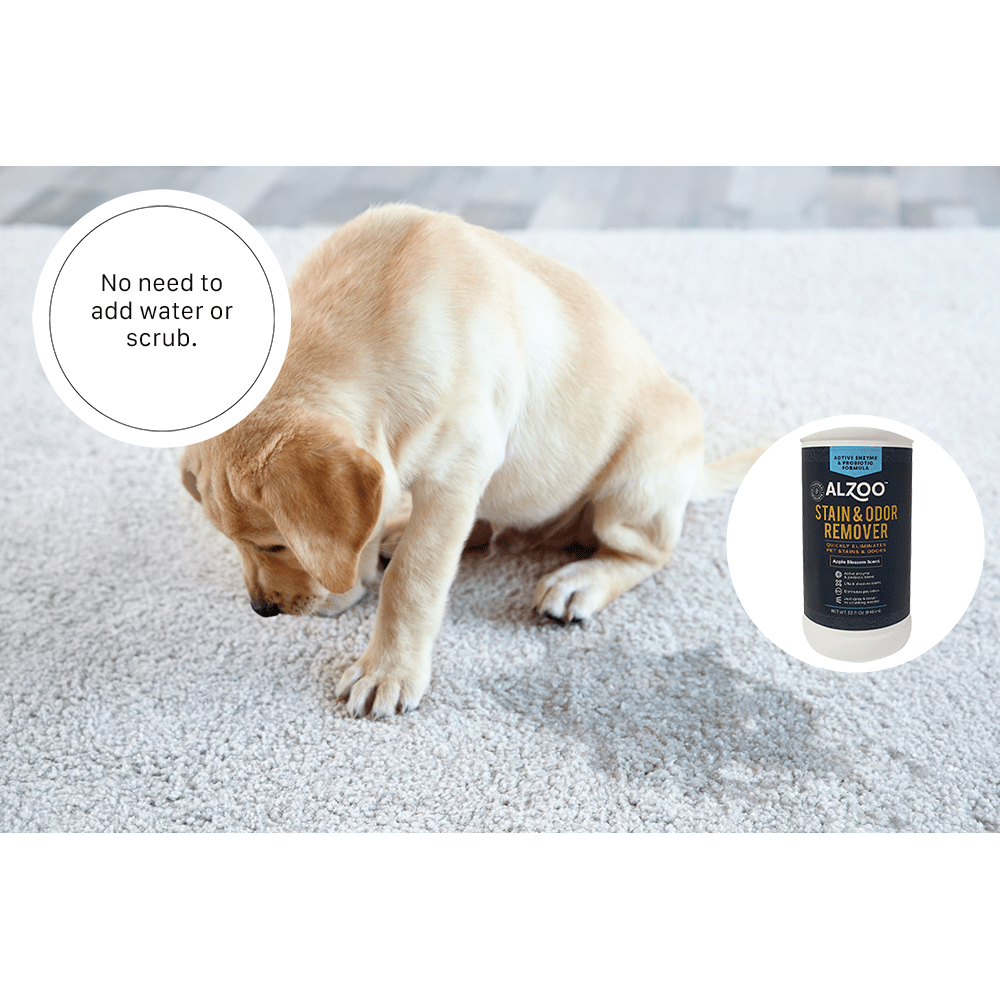 ALZOO Stain and Odor Remover Spray Citrus Vanilla