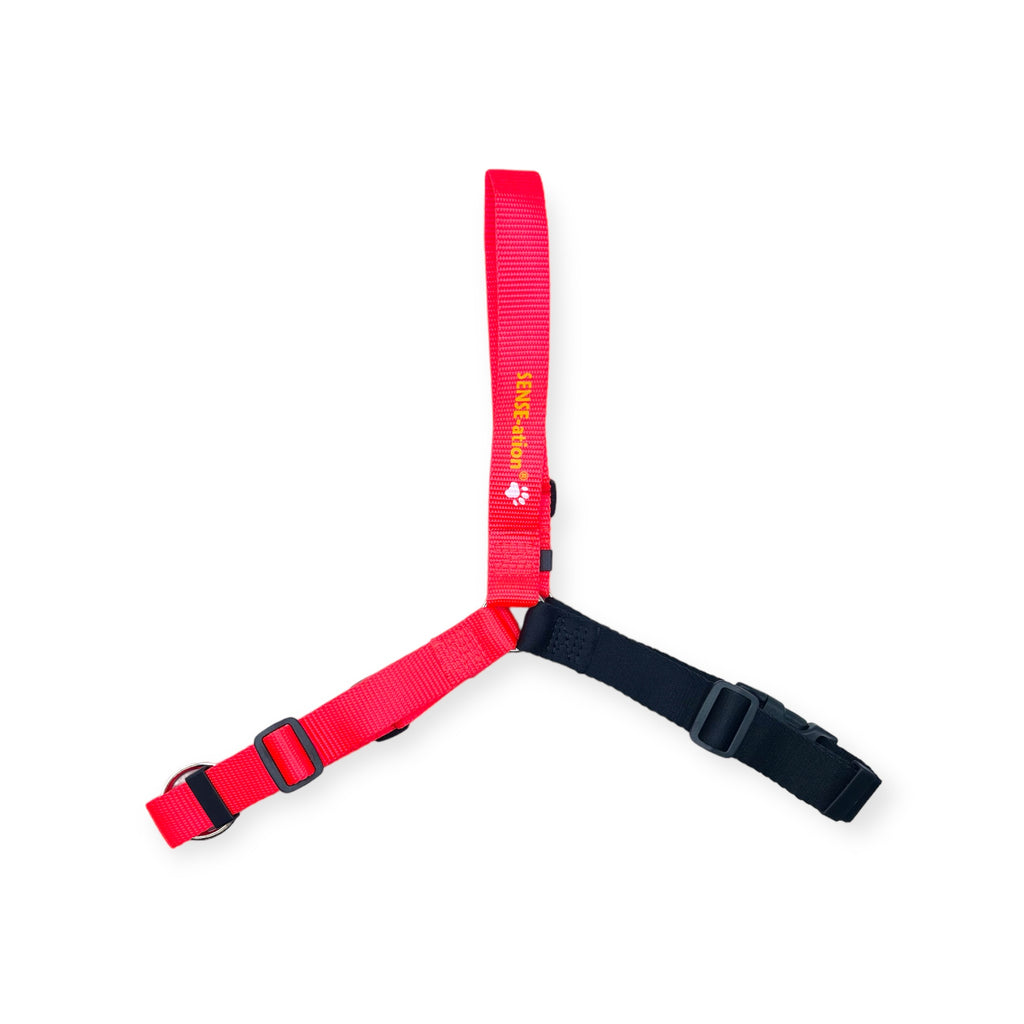 SENSE-ation® No-Pull Dog Harness