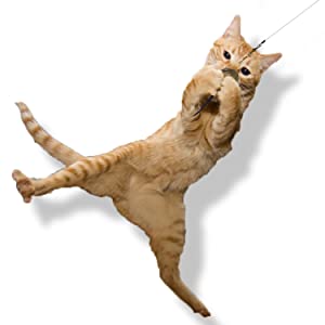 Go Cat Da Bird Cat Toy Refill Accessories, Da Wild Thing