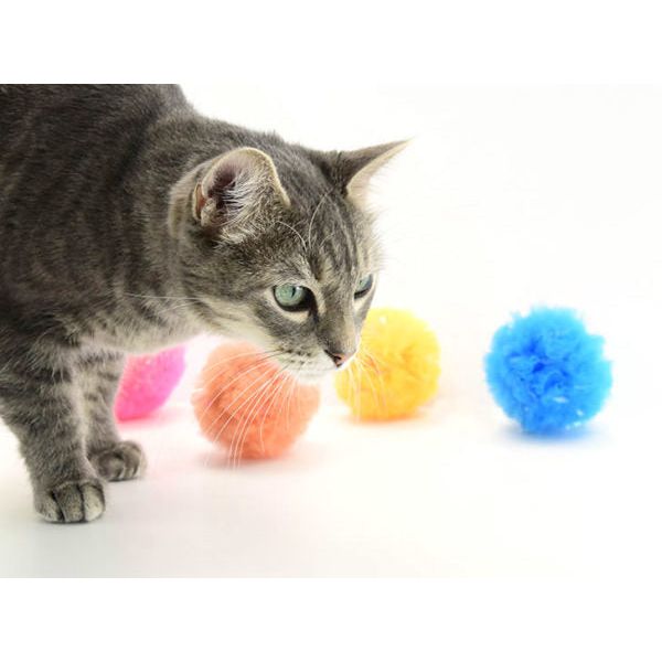 Go Cat Bat Arounds Fur Balls Cat Toy