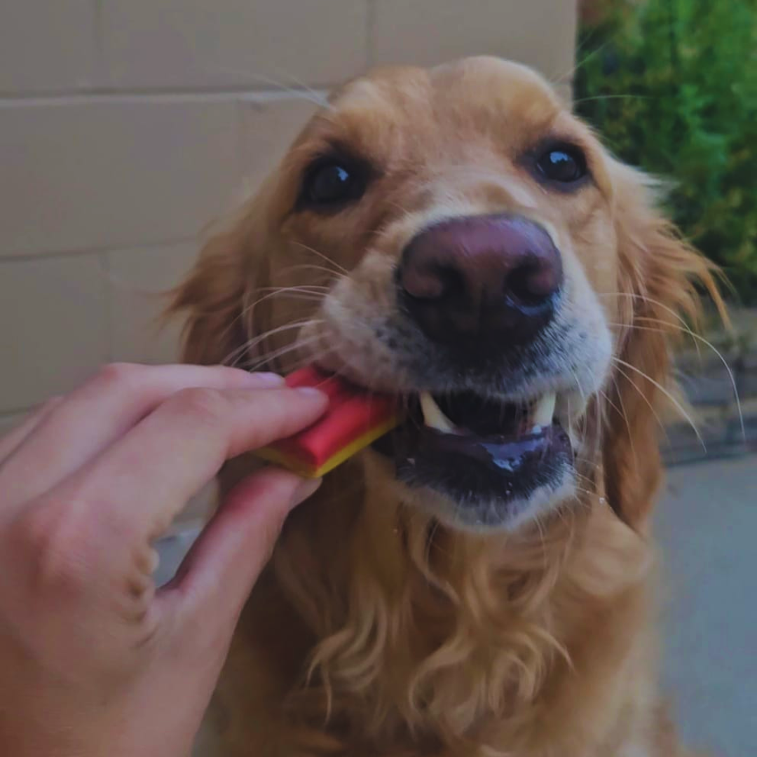 Spunky Pup Ice Cream Bars for Dogs