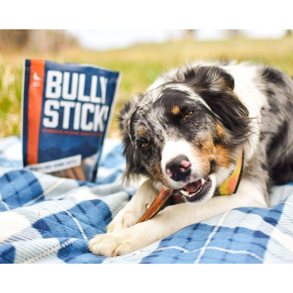 Wild Wolf 12" Beef Trachea Chews — 100% Natural Grass-Fed Dog Chews