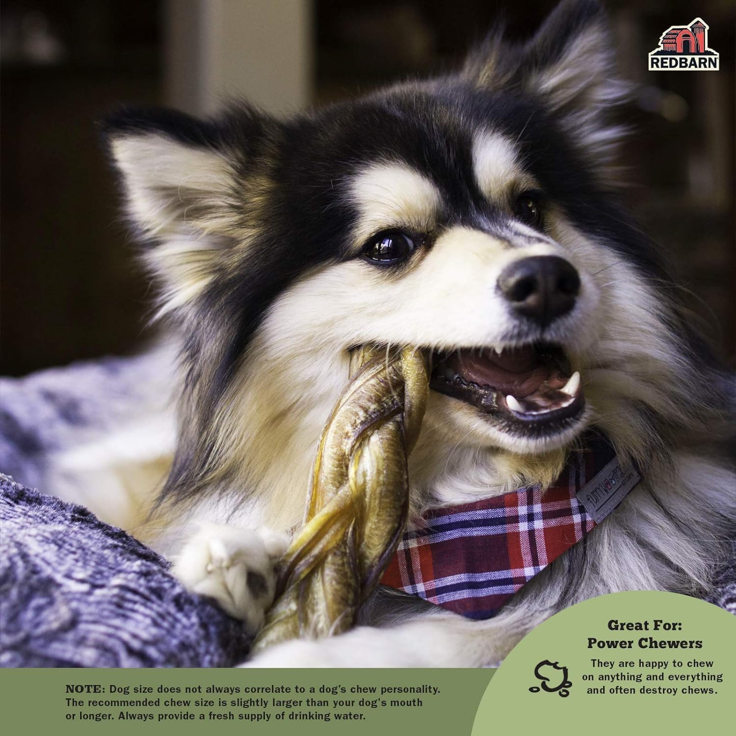 Redbarn 5" Braided Bully Sticks for Dogs