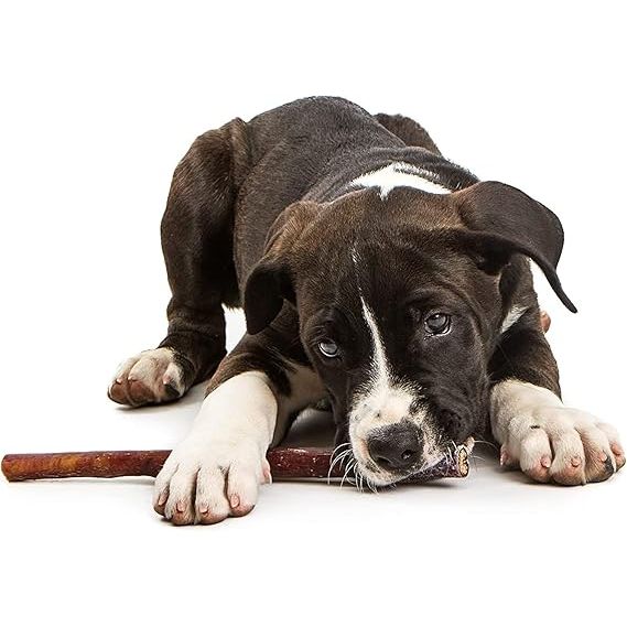 Jack & Pup Premium Grade Odor Free Bully Sticks Dog Treats 1 Count