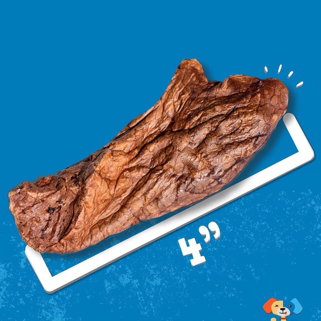Jack & Pup Just Beef Lungs 16 oz Bag