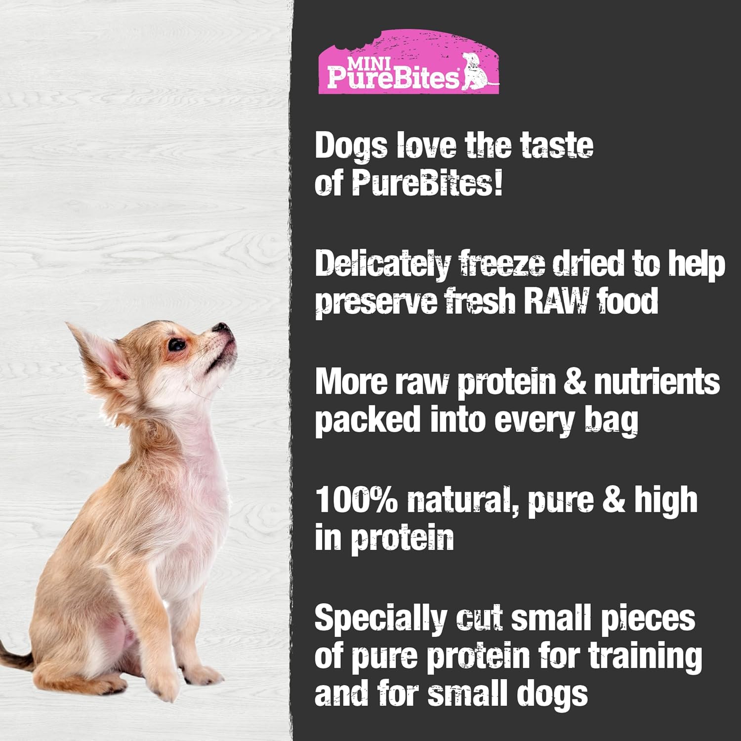 Mini PureBites Salmon Freeze Dried Dog Treats 1.7oz