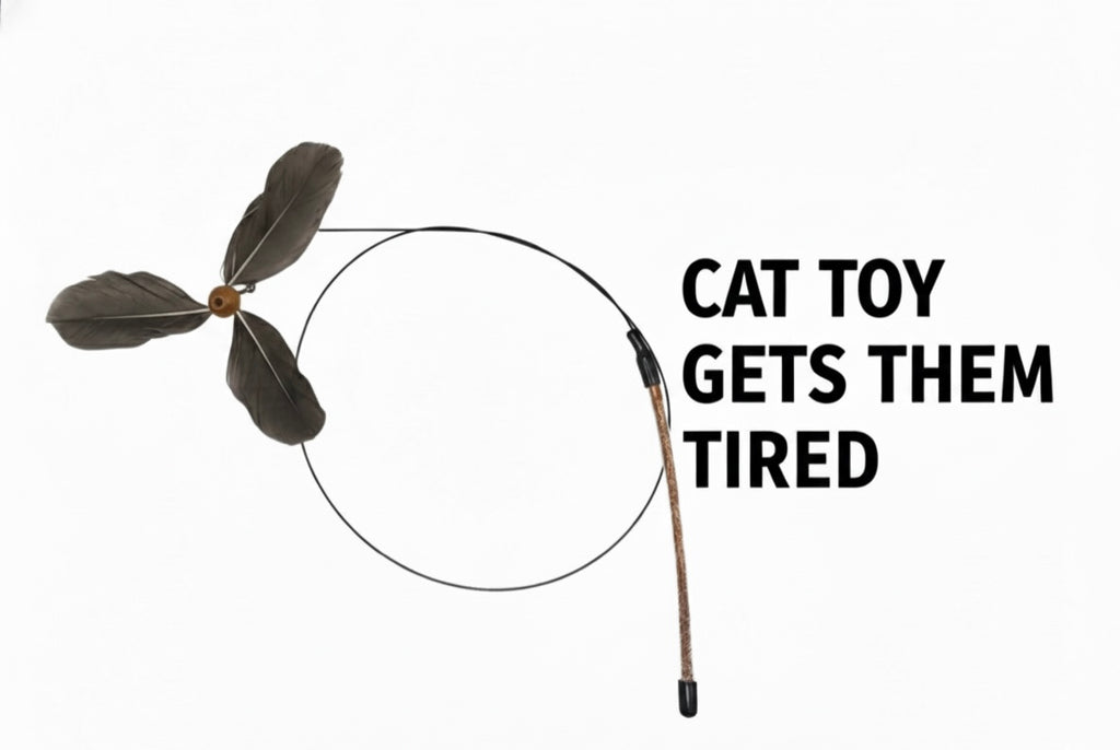 WOOZAPET Kitty Spinner Feather Cat Toy