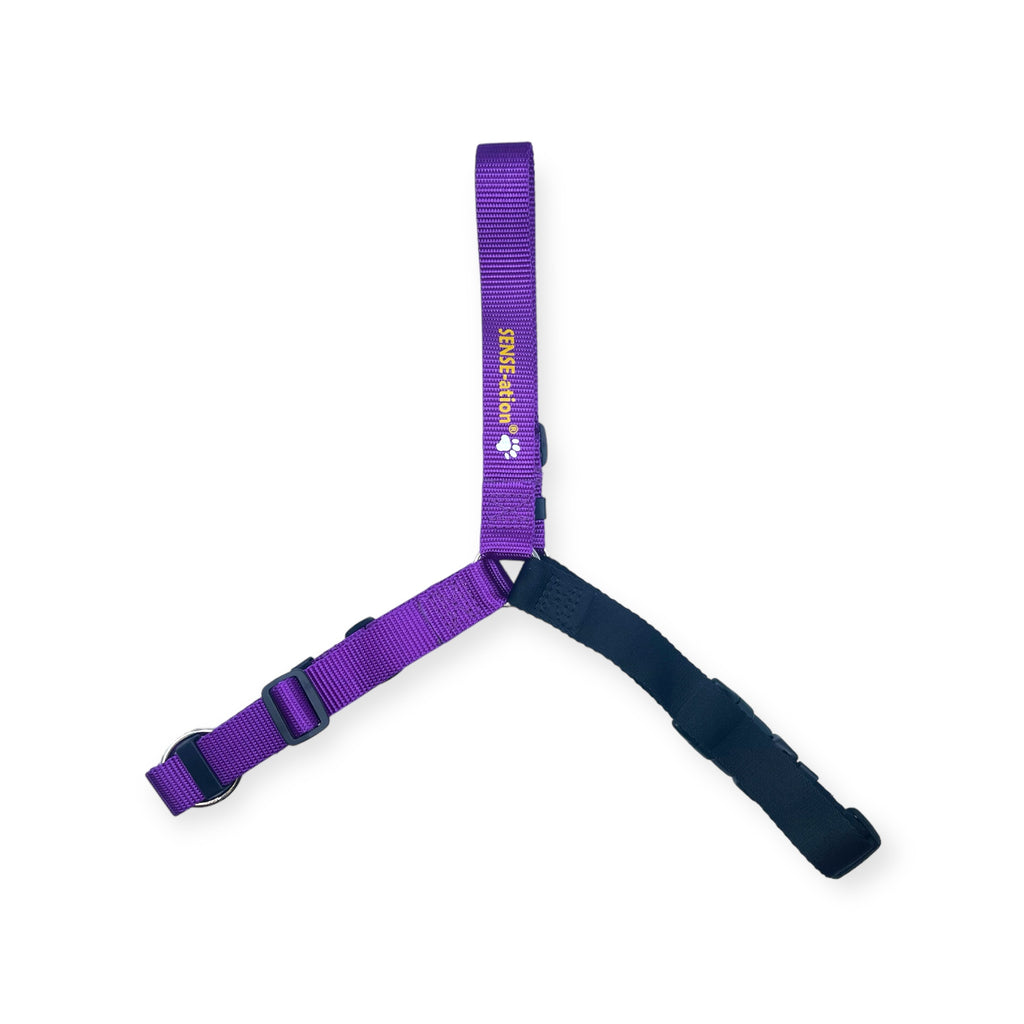 SENSE-ation® No-Pull Dog Harness