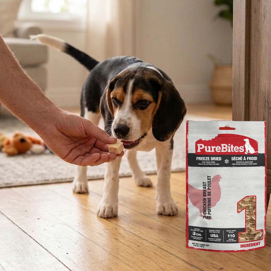 PureBites Freeze-Dried Chicken Dog Treats — Single Ingredient
