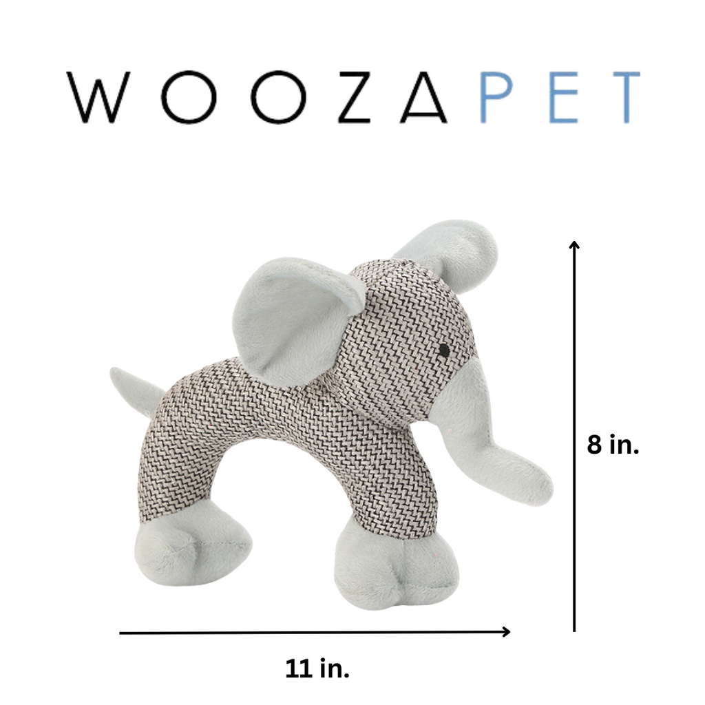 WOOZAPET Minimalist Squeaky Interactive Dog Toy