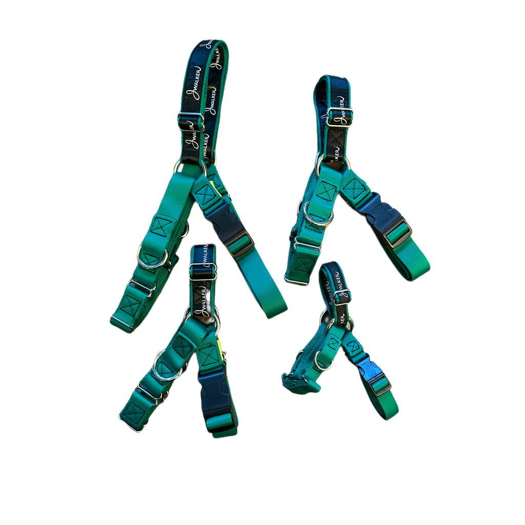 JWalker Side Attachment No-Pull Dog Harness, Emerald Green
