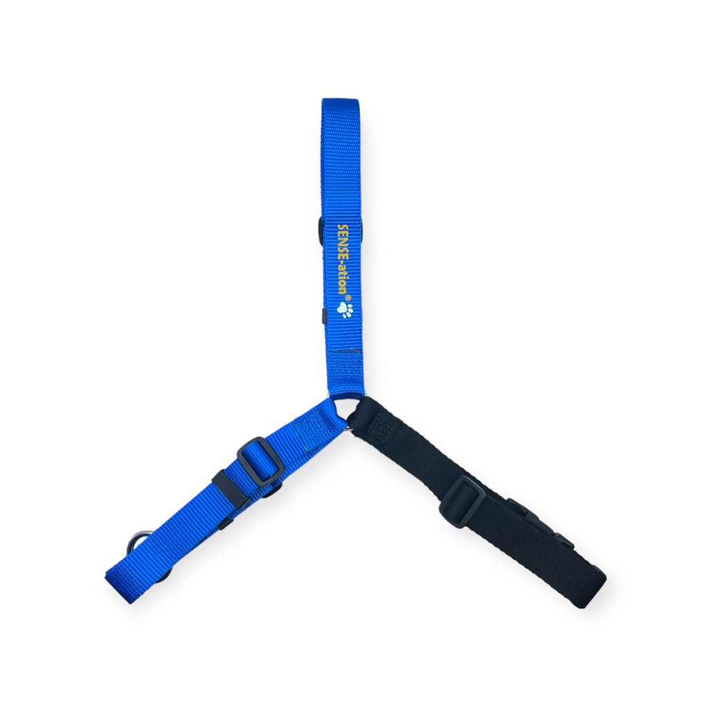 SENSE-ation® No-Pull Dog Harness