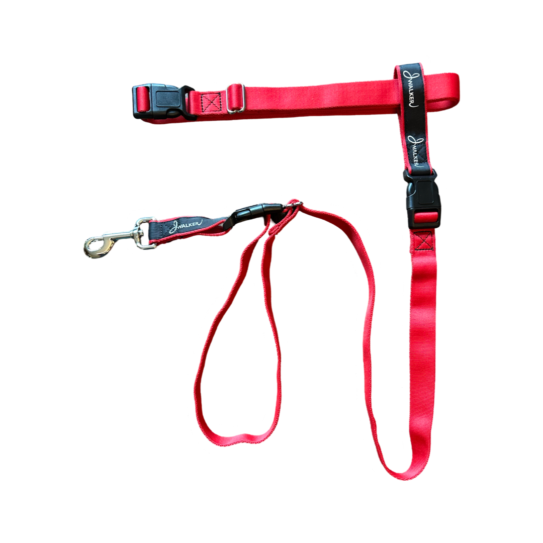 JWalker Dog 4-in-1 Hands-Free Walking Utility Dog Leash, Small