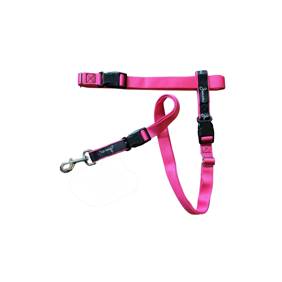 JWalker Dog 4-in-1 Hands-Free Walking Utility Dog Leash, Large