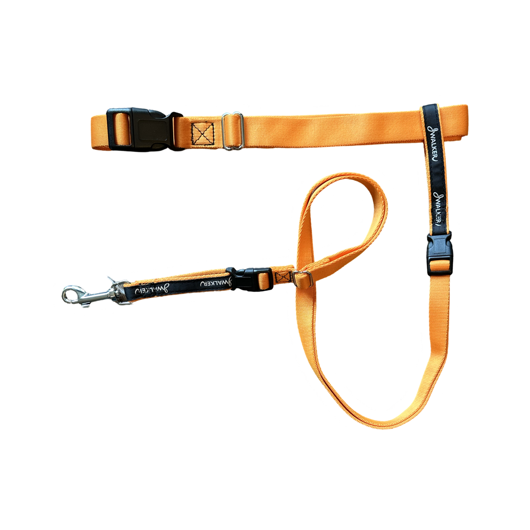 JWalker Dog 4-in-1 Hands-Free Walking Utility Dog Leash, Small