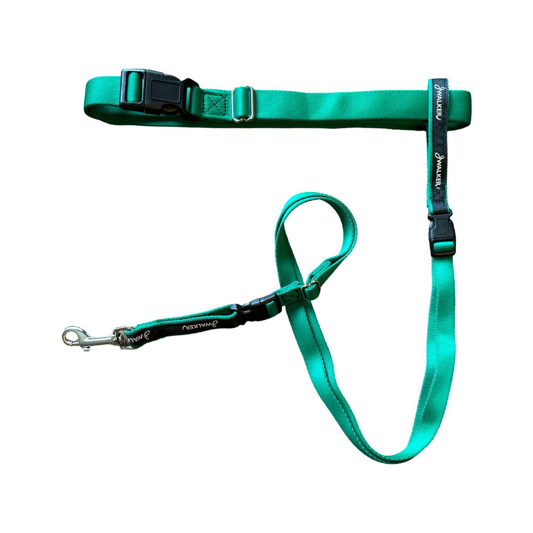 JWalker Dog 4-in-1 Hands-Free Walking Utility Dog Leash, Small
