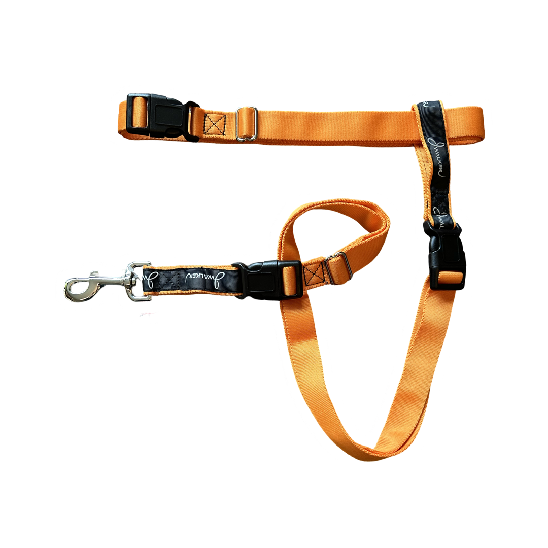 JWalker Dog 4-in-1 Hands-Free Walking Utility Dog Leash, Large