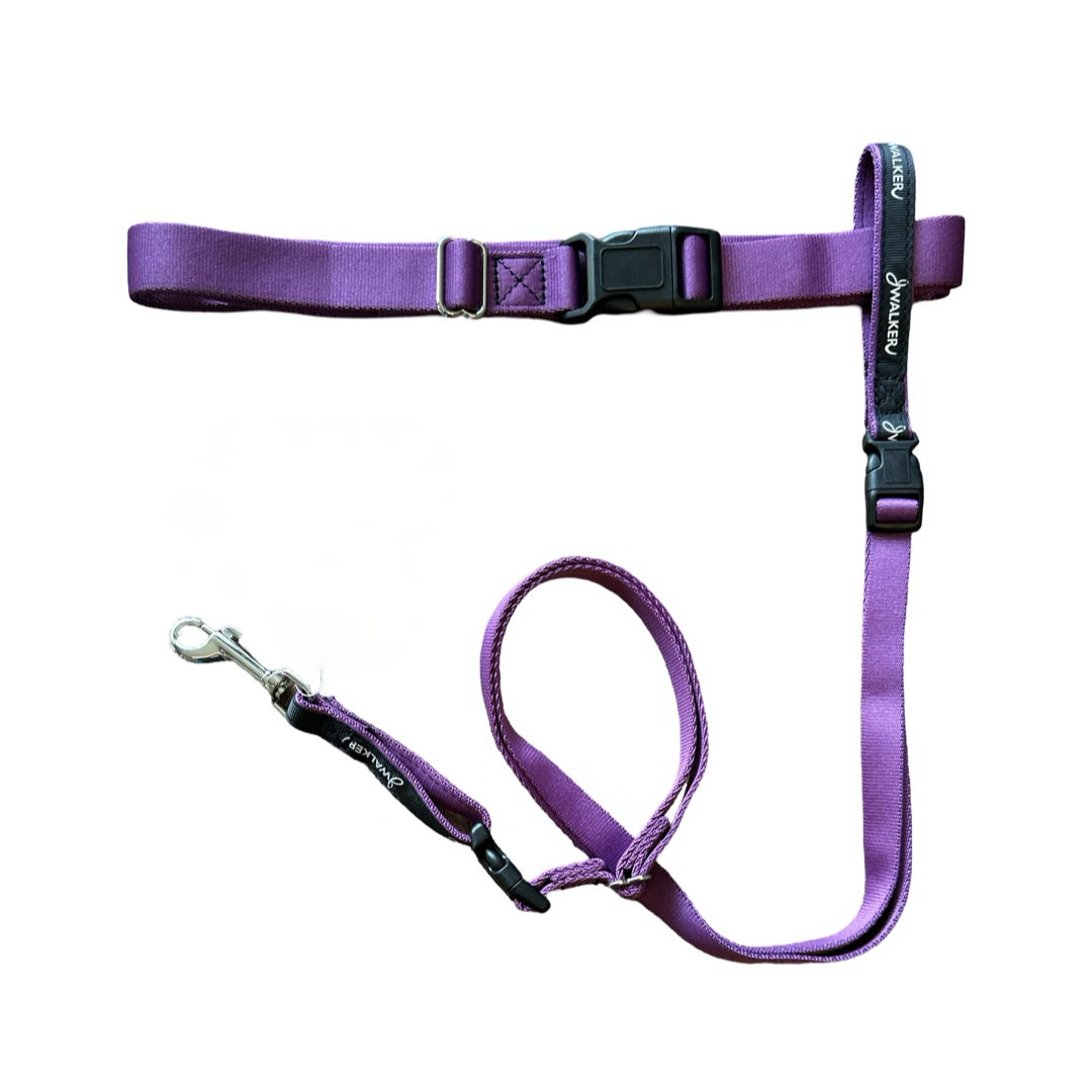 JWalker Dog 4-in-1 Hands-Free Walking Utility Dog Leash, Small