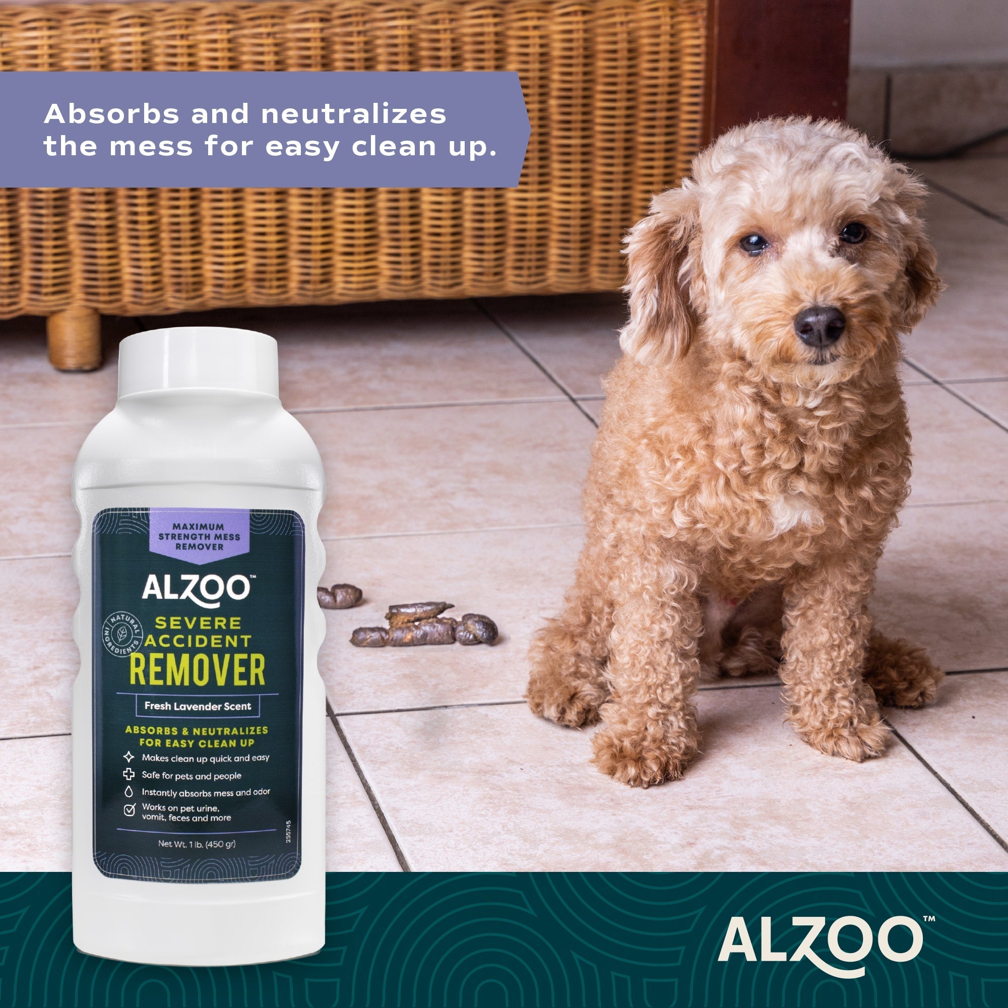 ALZOO Severe Accident Remover