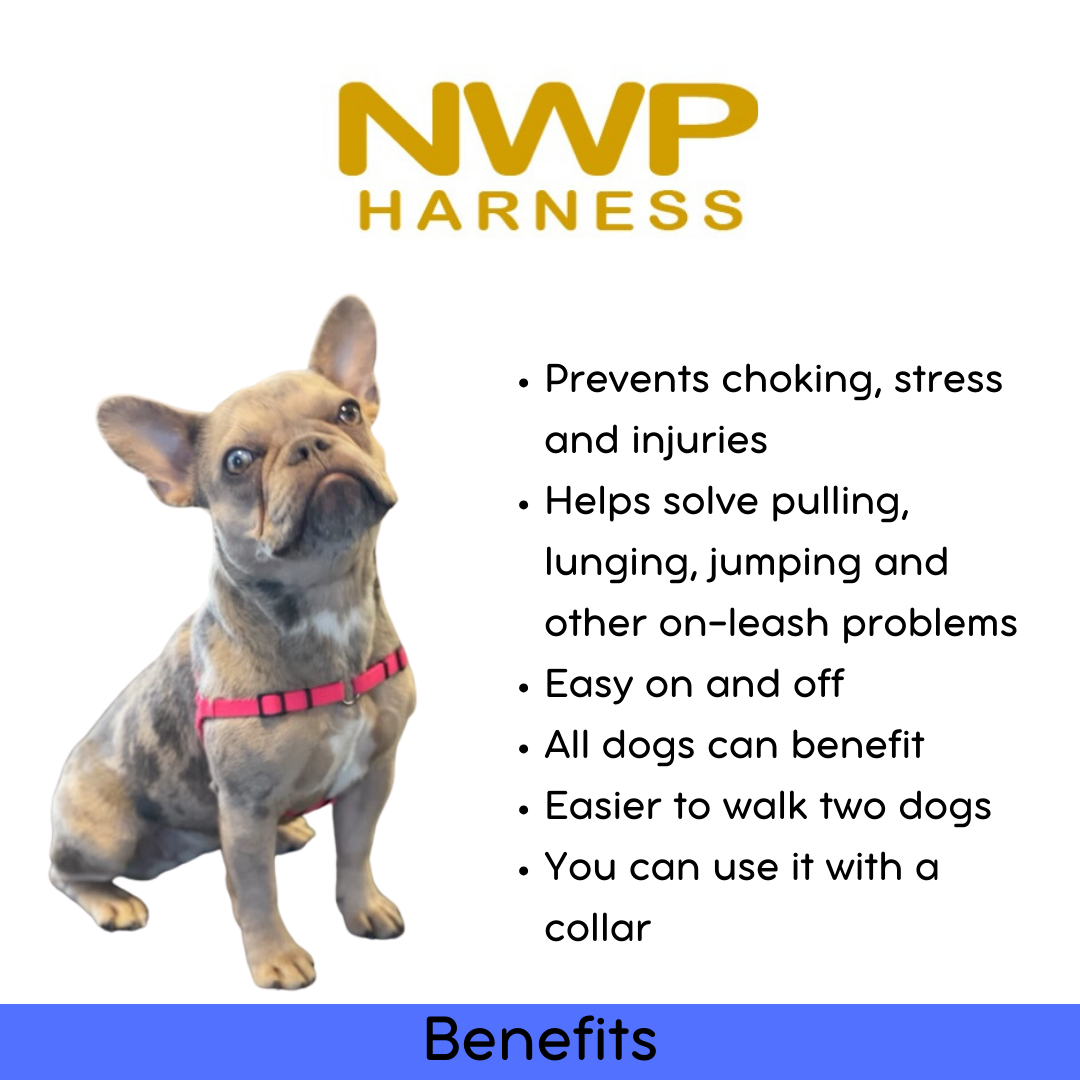 SENSE-ation® No-Pull Dog Harness