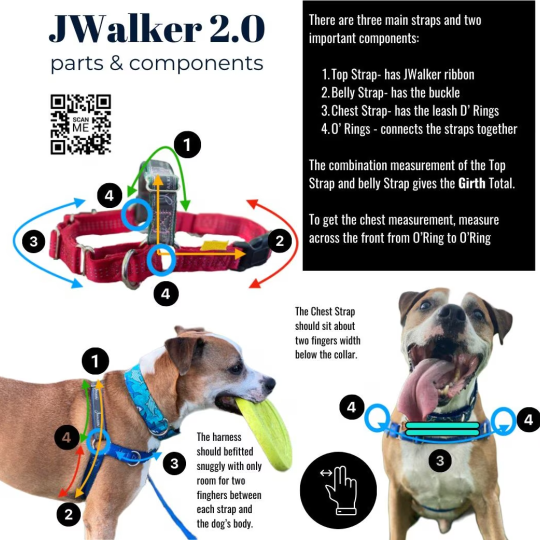 JWalker Side Attachment No-Pull Dog Harness, Raspberry
