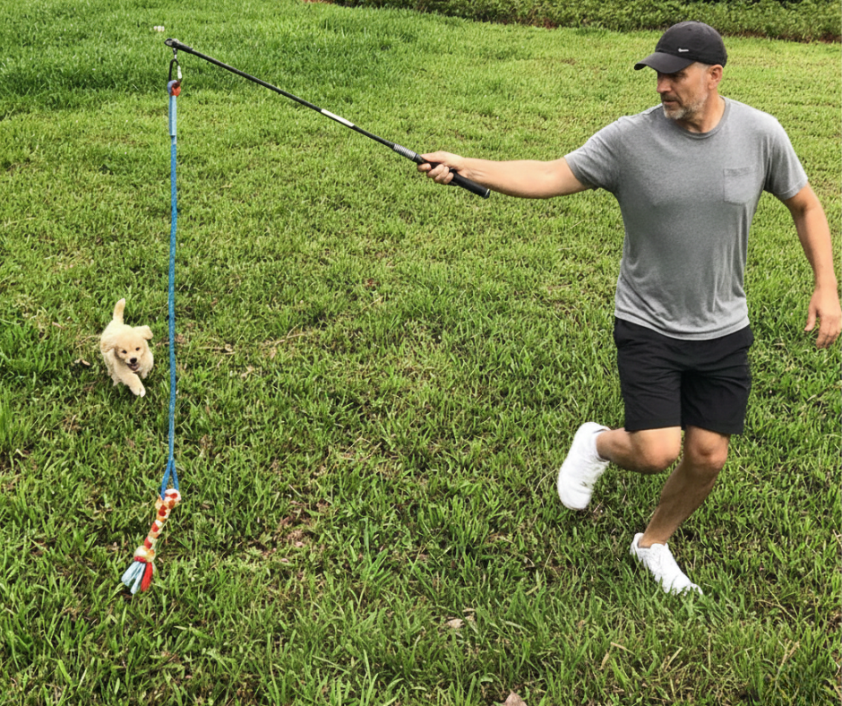 WOOZAPET Interactive Dog Flirt Pole Toy – Durable Outdoor Tug & Chase Wand with Fleece Rope Lure