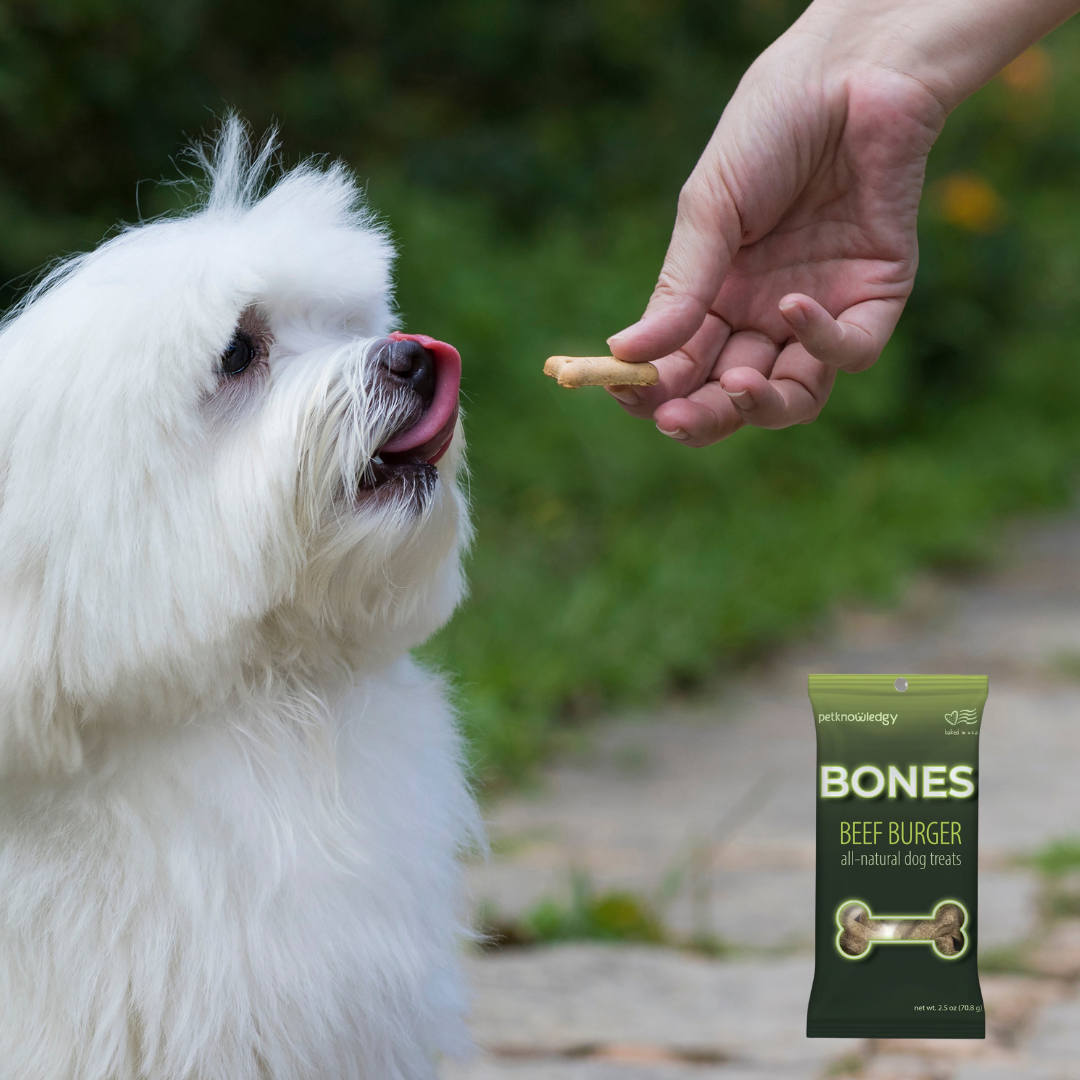 Spunky Pup Snack Pack Dog Treats — 2.5 oz Grab & Go Bags