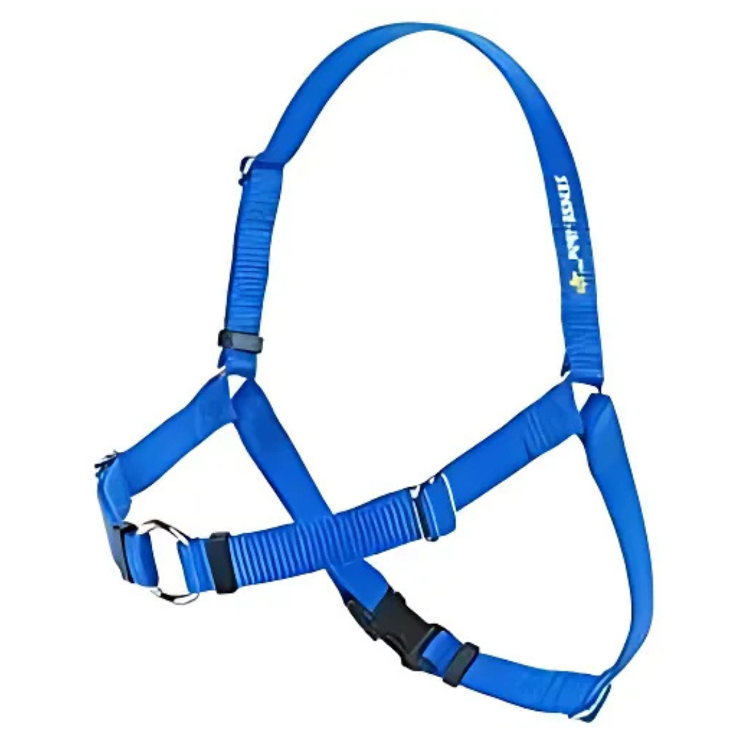 SENSE-ible® No-Pull Dog Harness