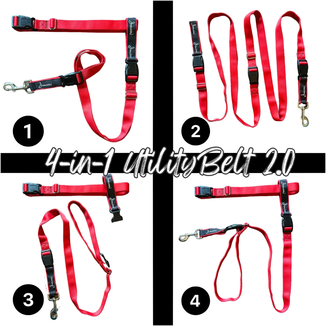 JWalker Dog 4-in-1 Hands-Free Walking Utility Dog Leash, Large