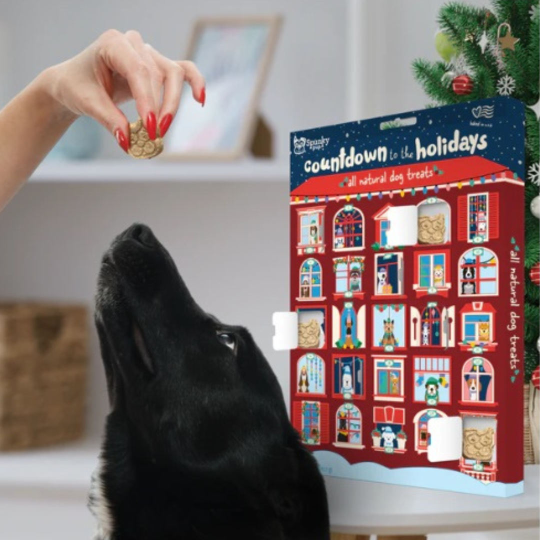 Spunky Pup Count Down to the Holidays Advent Calendar