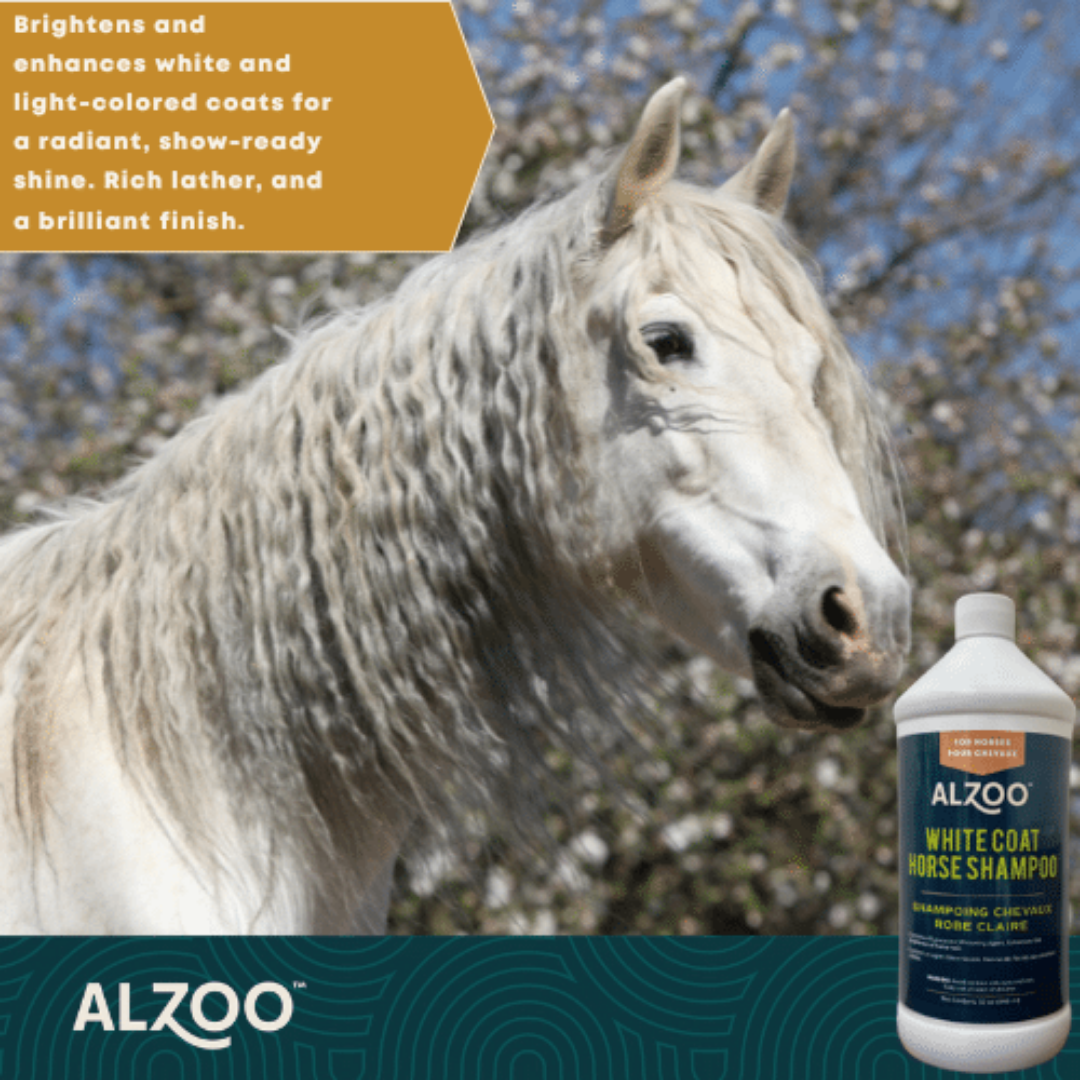 ALZOO Horse Shampoo White & Light Coats, 32oz