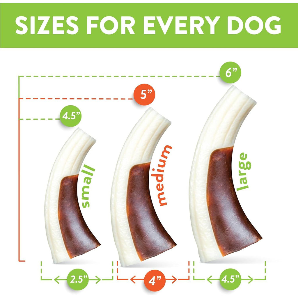 Spunky Pup Snack & Chew Antler Dog Chew Toy, Medium
