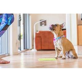 LickiMat Classic Soother Slow Feeder for Dogs