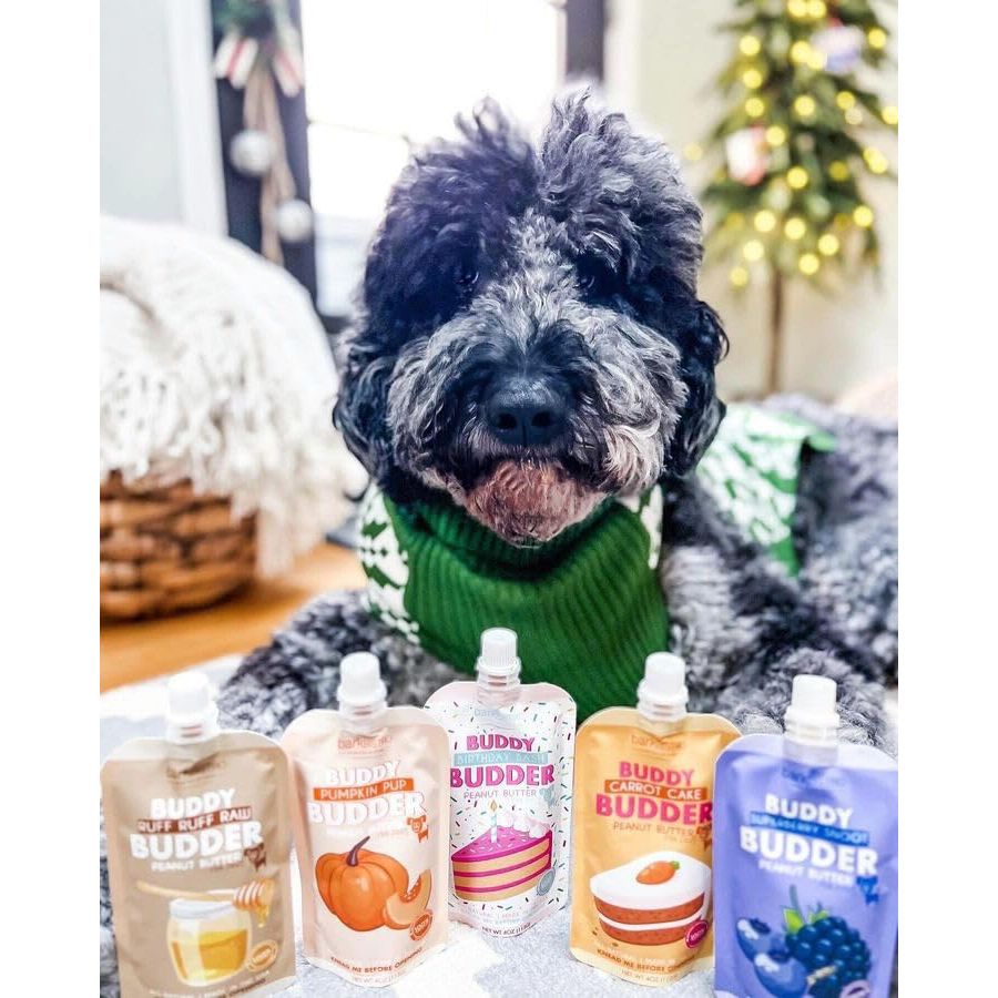 Bark Bistro Pumpkin Pup Buddy Budder Squeeze Packs — Trio, 3 x 4 oz