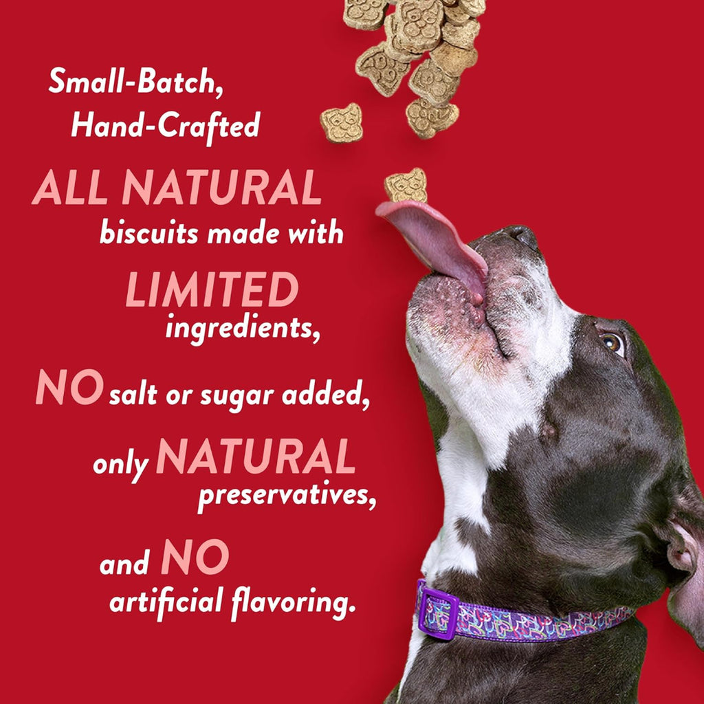 Spunky Pup Crunchy Biscuit Treats, 10 oz