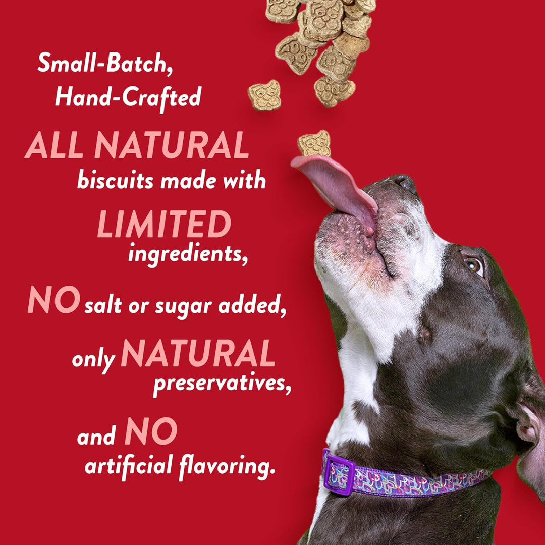 Spunky Pup Crunchy Biscuit Treats, 10 oz