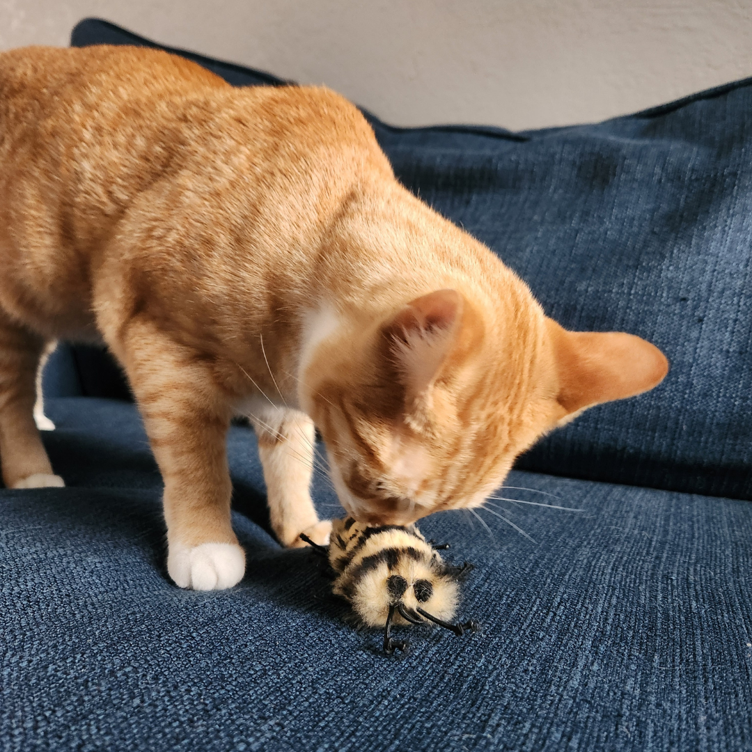 Go Cat Da Cat-A-Pila Cat Toy
