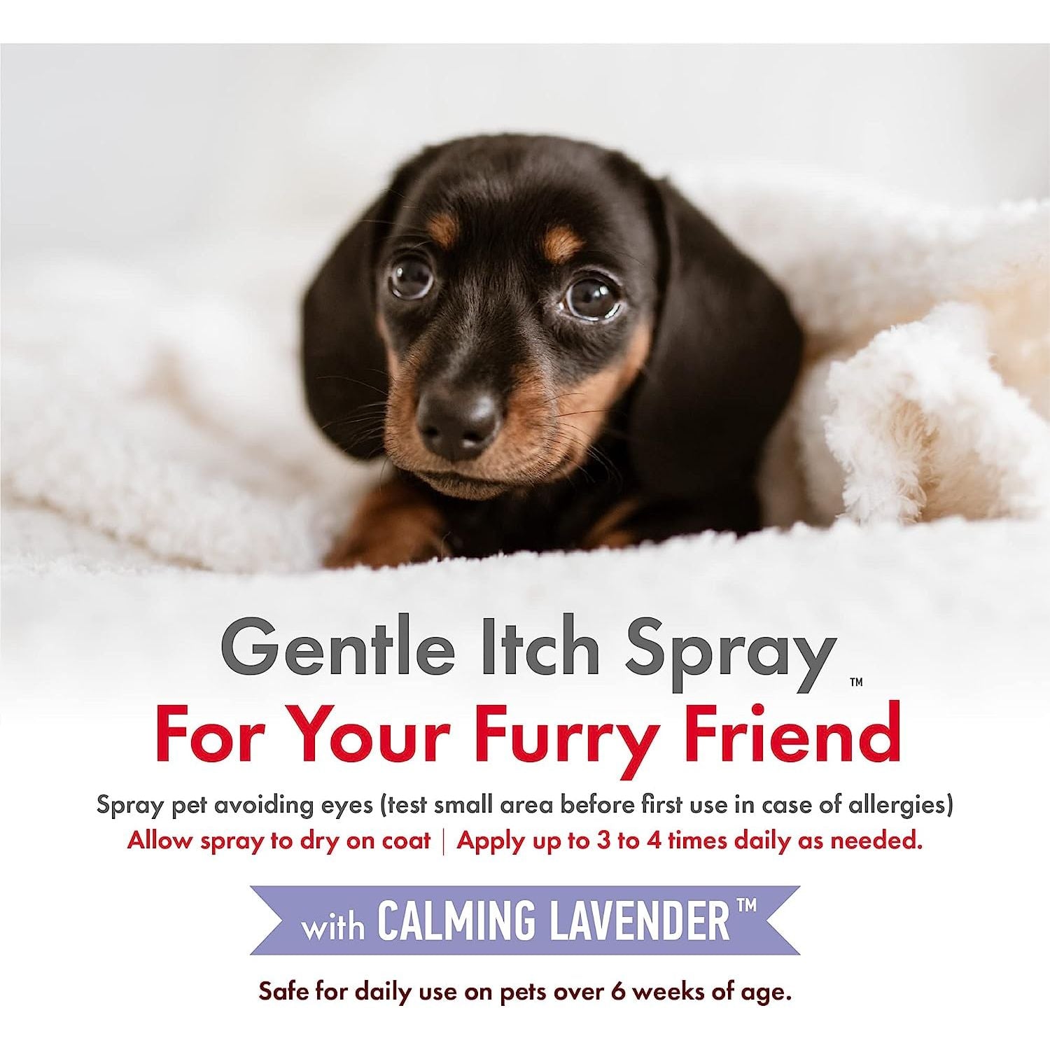 Petkin CBD Pet Itch Spray Calming Lavender