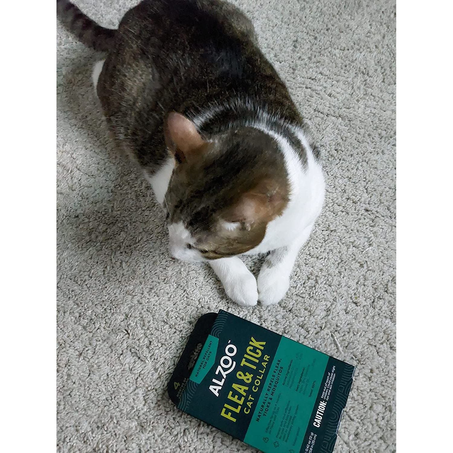 ALZOO Natural Flea & Tick Collar for Cats