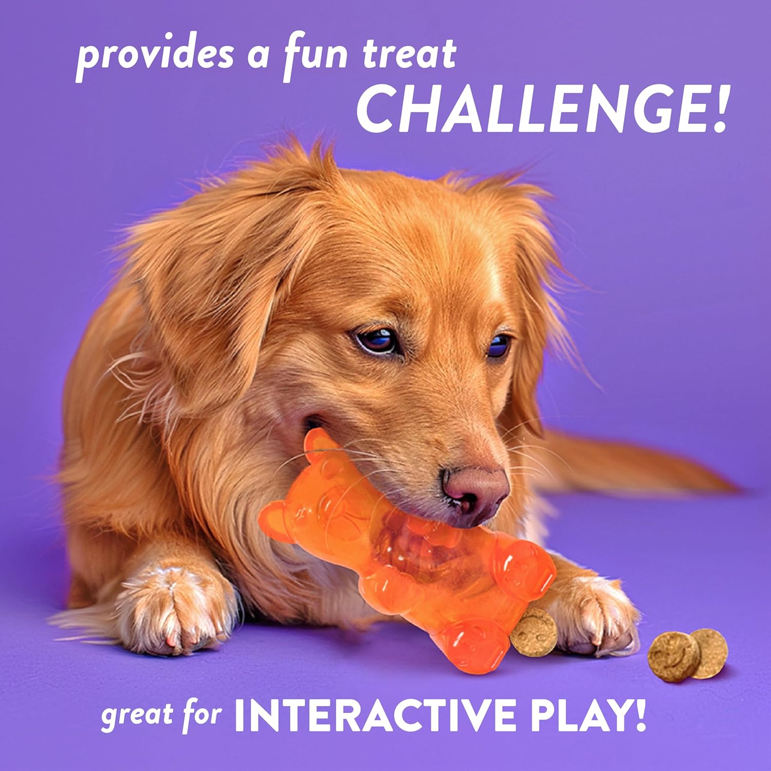 Spunky Pup Gummy Bear Interactive Dog Toy with Treats Included - Assorted Neon Colors- Medium