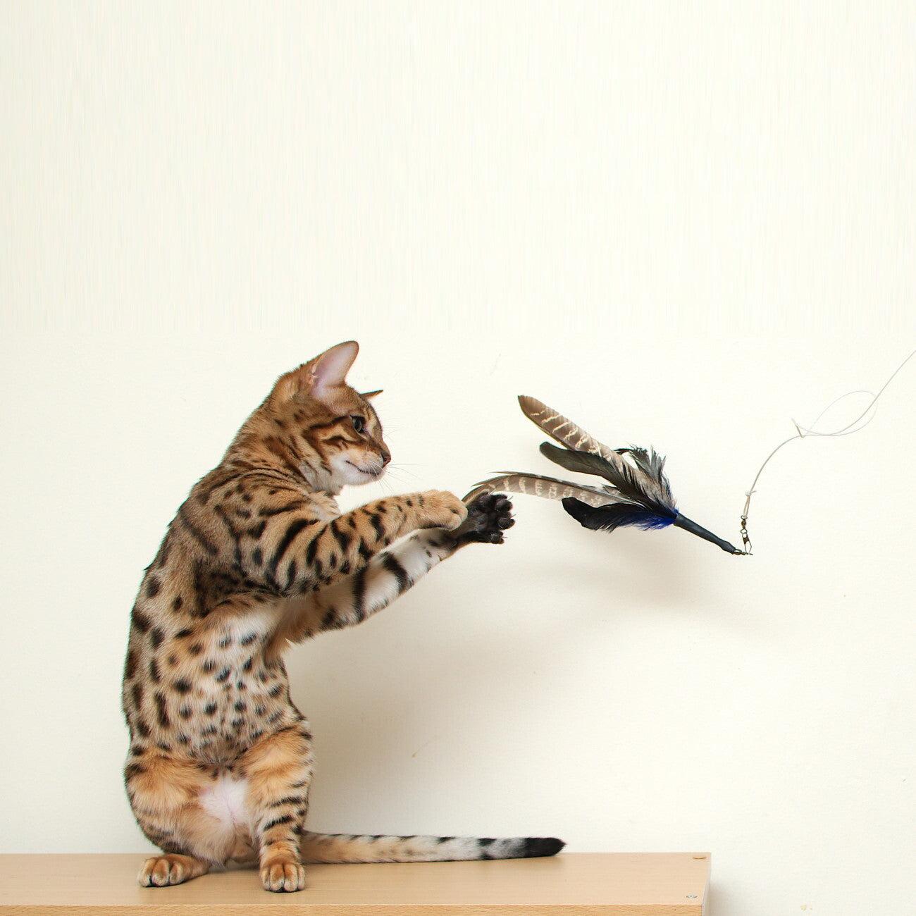 Go Cat Da Bird Cat Toy Refill Accessories, Super Refill with Extra Feathers