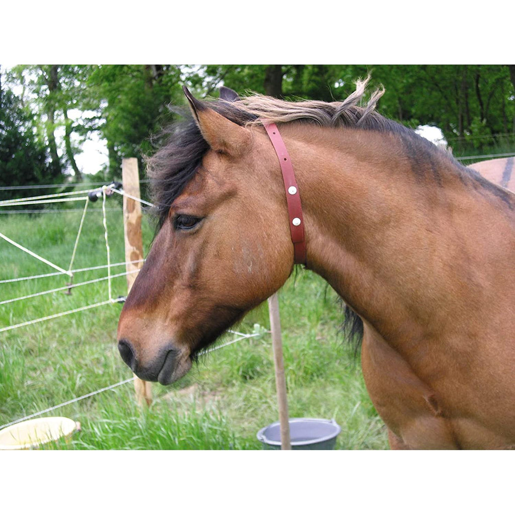 ALZOO Natural Herbal Fly Collar for Horses